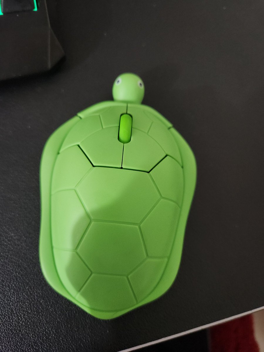 Enemy jungler mouse: made out of carbon fiber. Seventy buttons on the side. Has a fuck mode where you can lowkey fuck it

My junglers mouse: