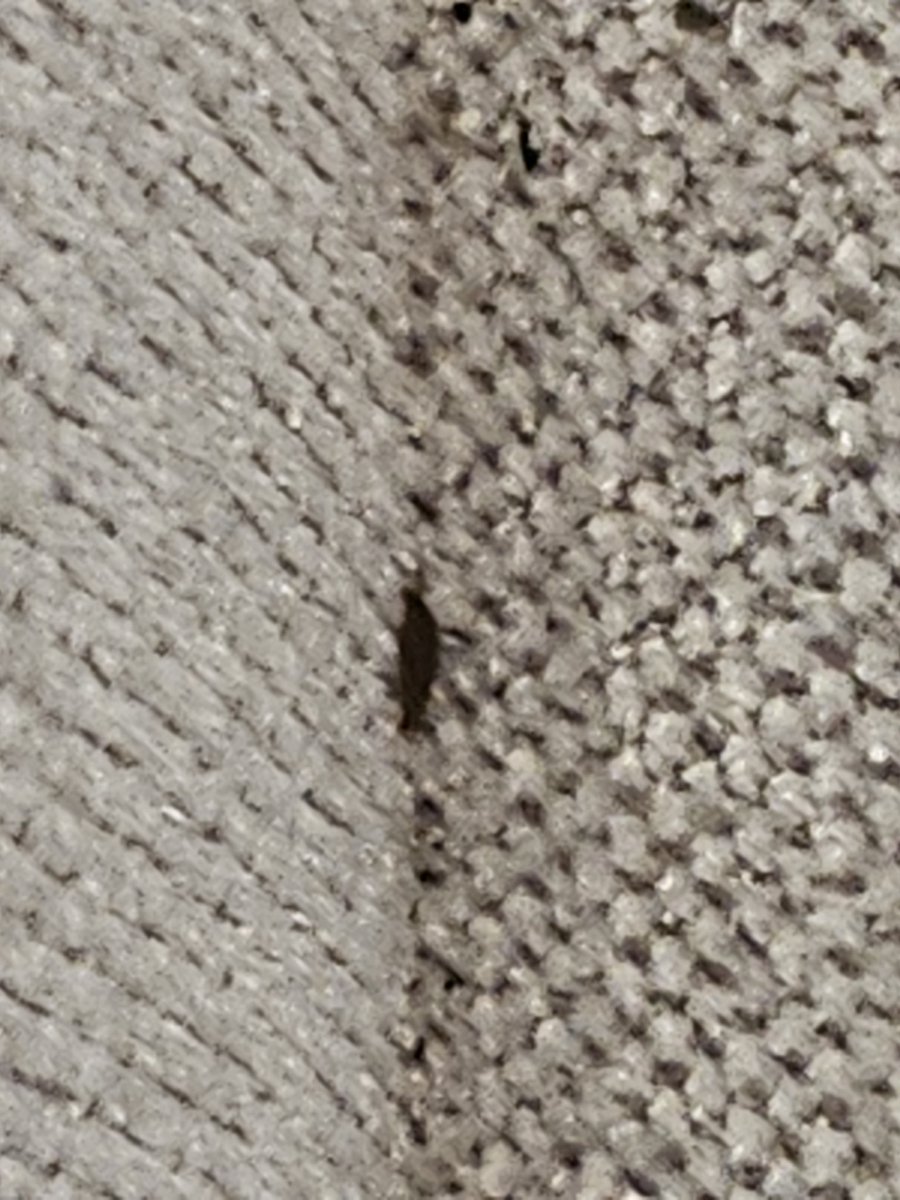 Marcus A. Rivera tweet media