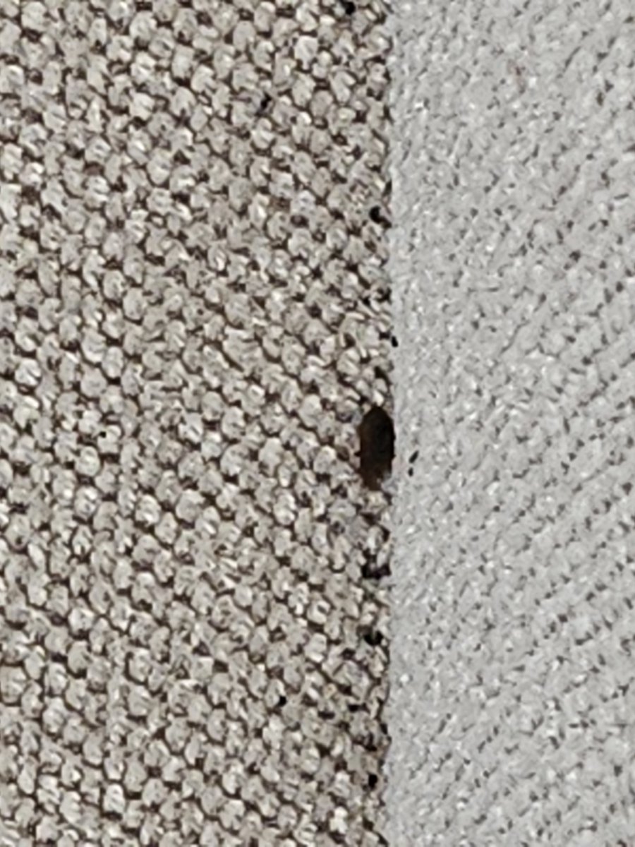 Marcus A. Rivera tweet media