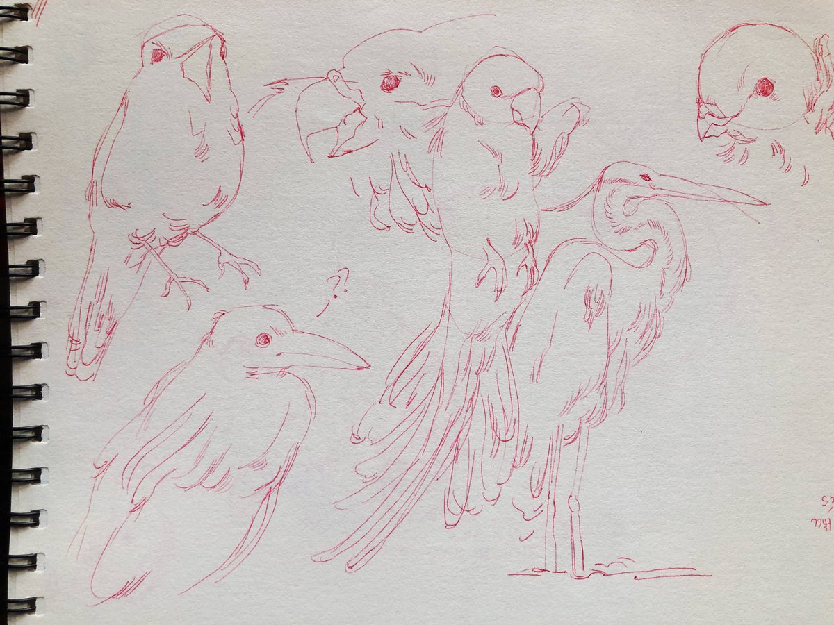 Synnefos_'s tweet image. old studies 🦁