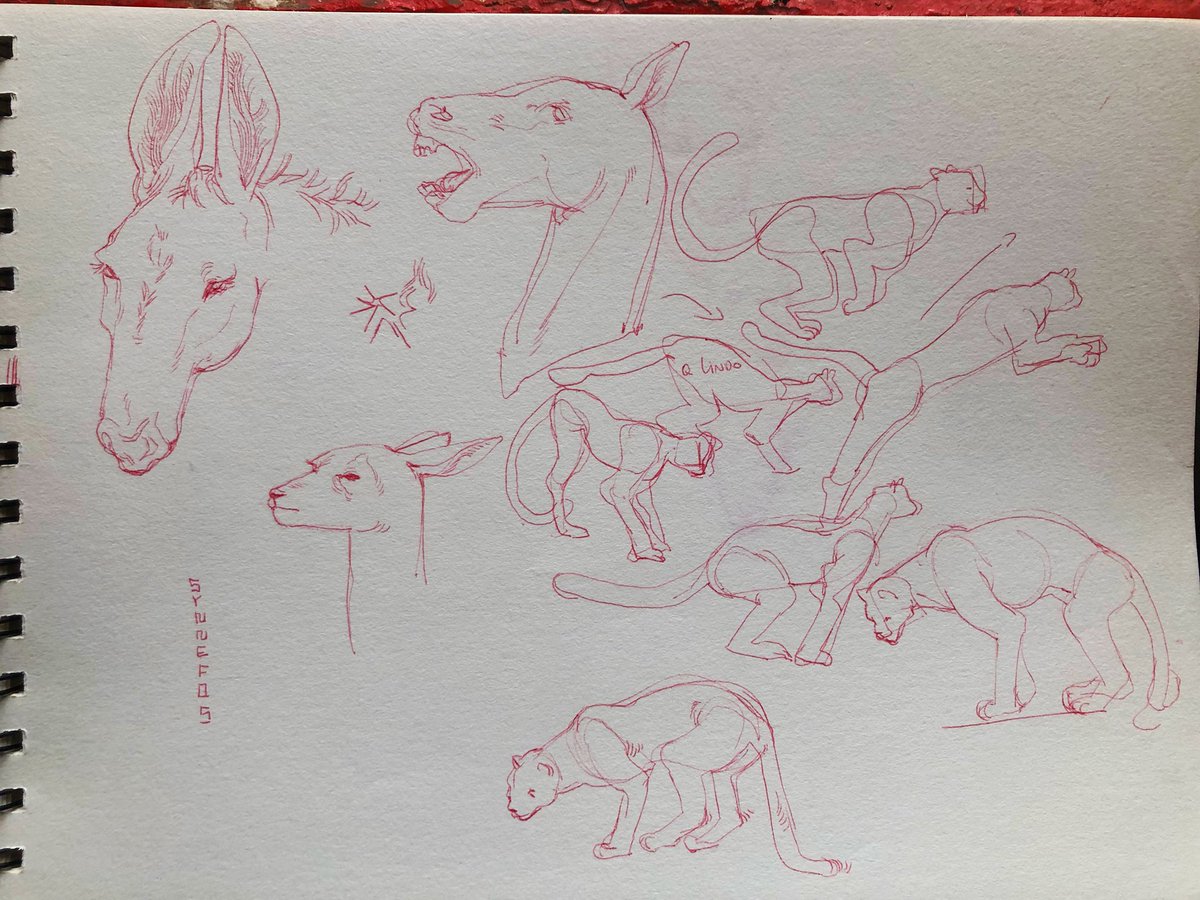 Synnefos_'s tweet image. old studies 🦁
