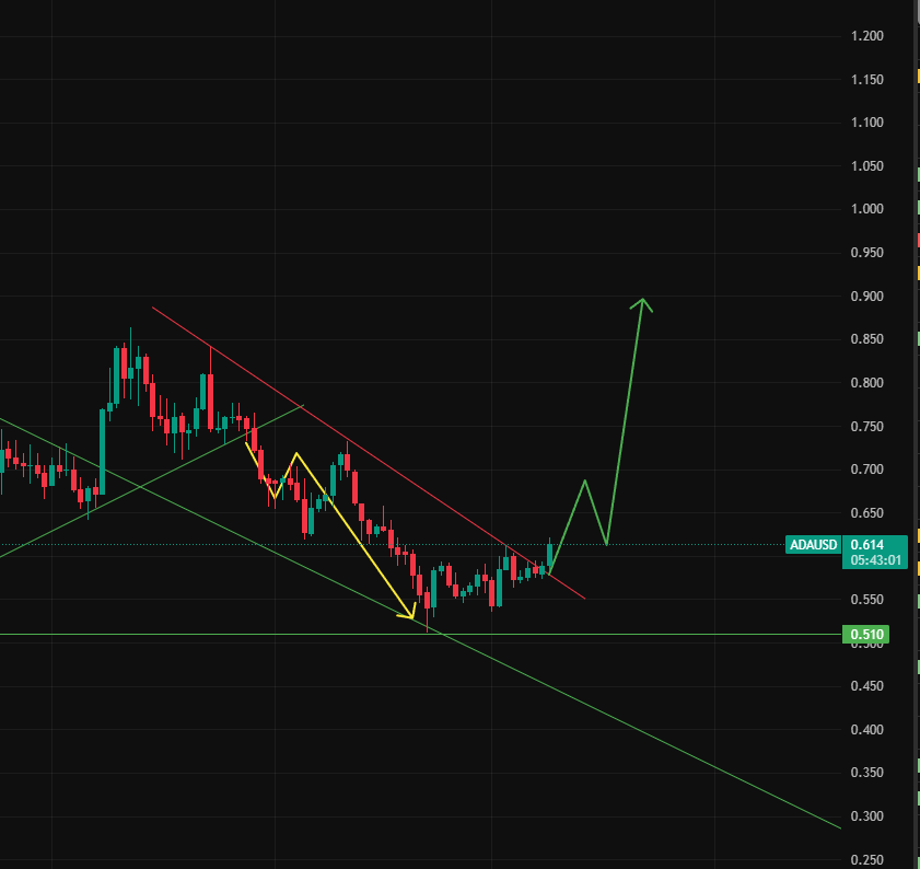 Crypto NL tweet media