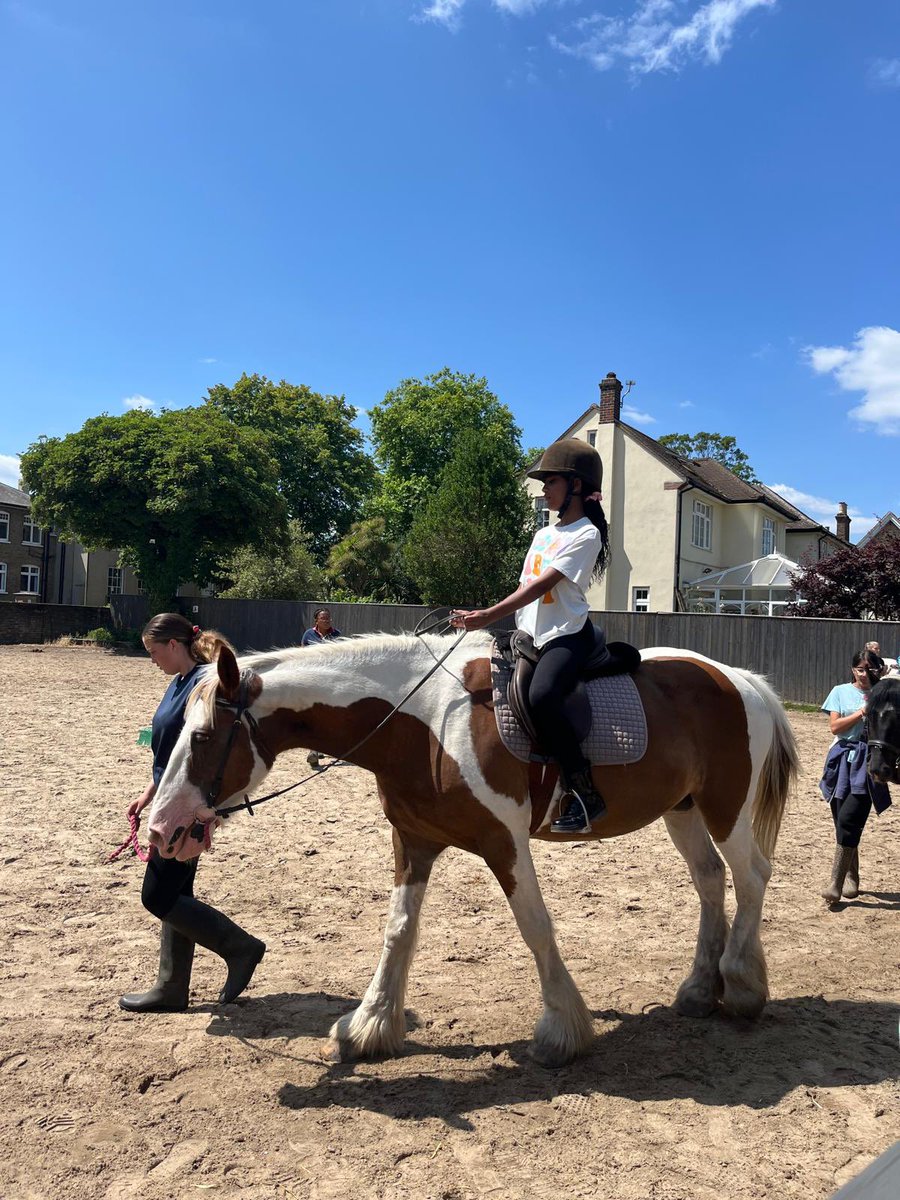 Visits to Capel Manor College to learn about animal husbandry courses, then onto Mottingham Riding Stables and before returning to school popping in to see the Eltham donkeys in their paddock, always keen to see visitors who may have a carrot or apple with them! 😁