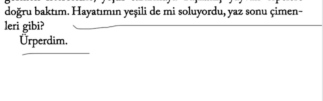 Hayatımın yeşili de mi soluyordu yaz sonu çimenleri gibi