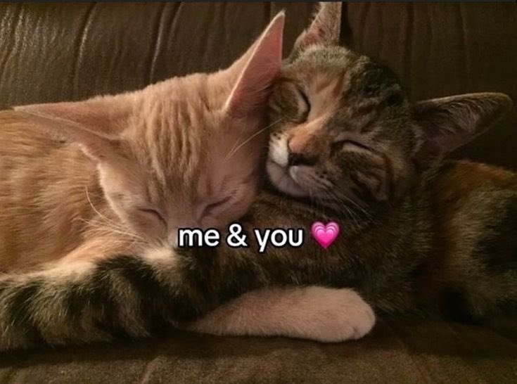 astralbaes's tweet photo. https://t.co/ABi5dbkmVL