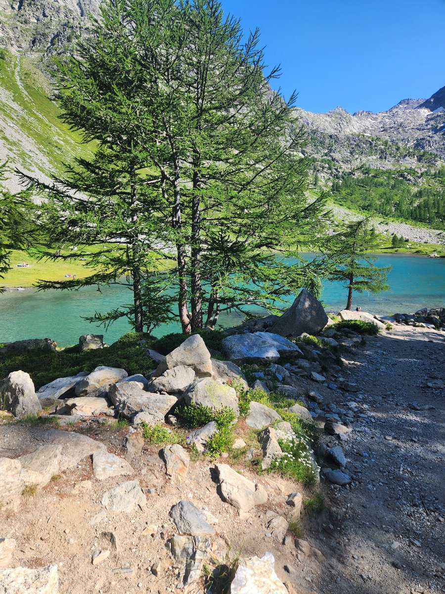 danatruska's tweet photo. #valledeaosta https://t.co/izLTvkgbUt