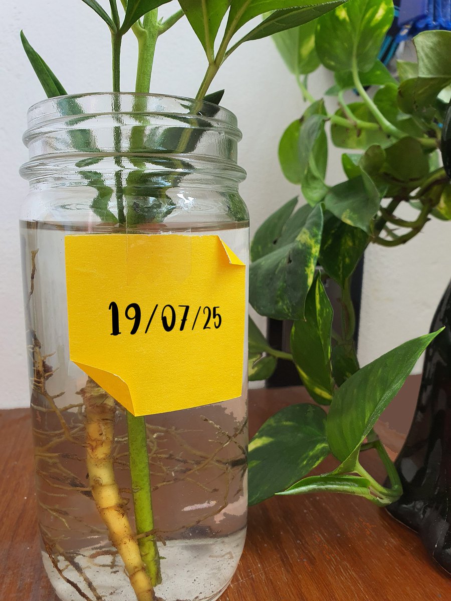 Se vienen cositas 👀