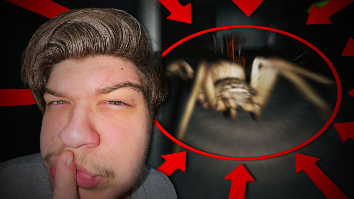 TheMikeStupid's tweet image. ‼️NEW UPLOAD‼️
Can MICHAEL Survive the HUNTSMAN SPIDER?

youtu.be/VxYLTTVPpvs