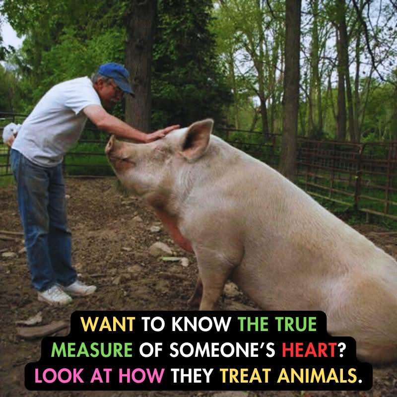 Absolutely! 💚