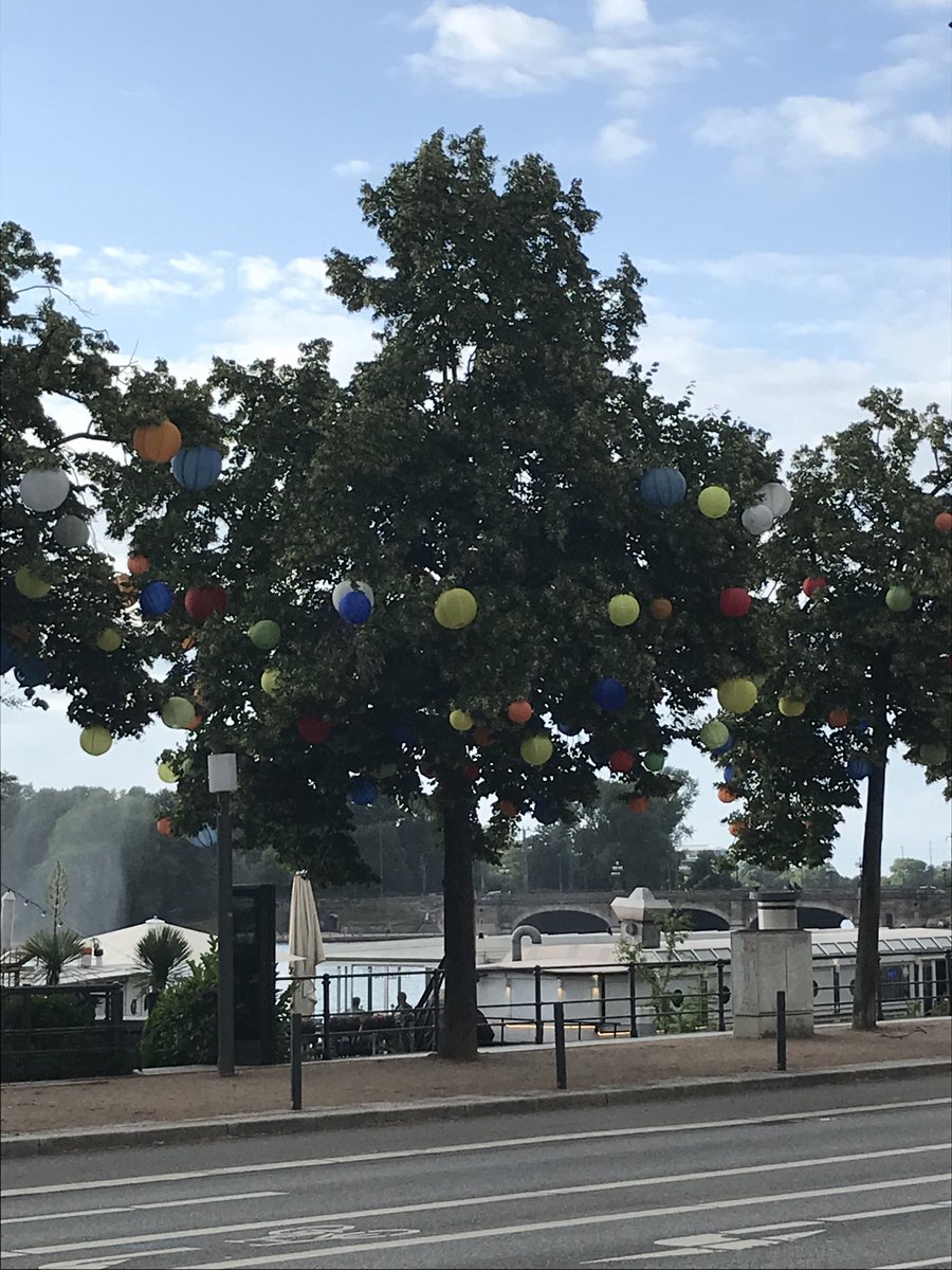 Hamburg Alster tree