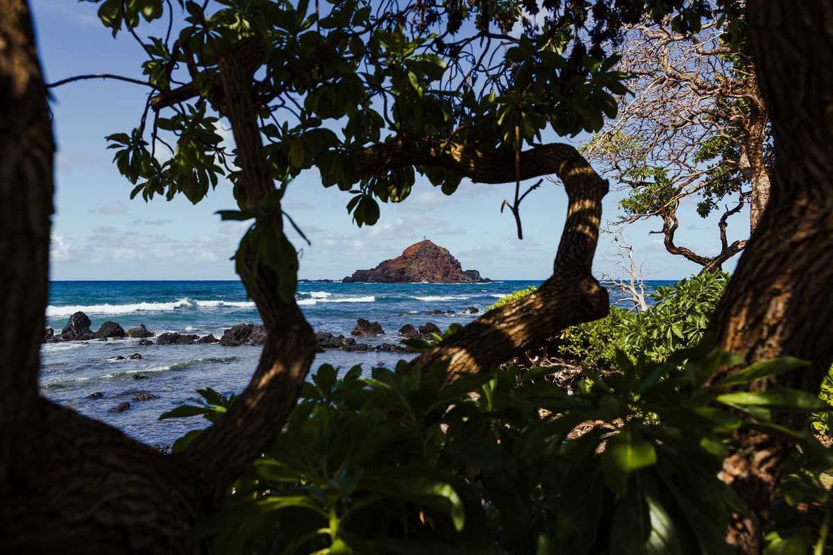 shotbychandler's tweet image. 🏝️ Maui