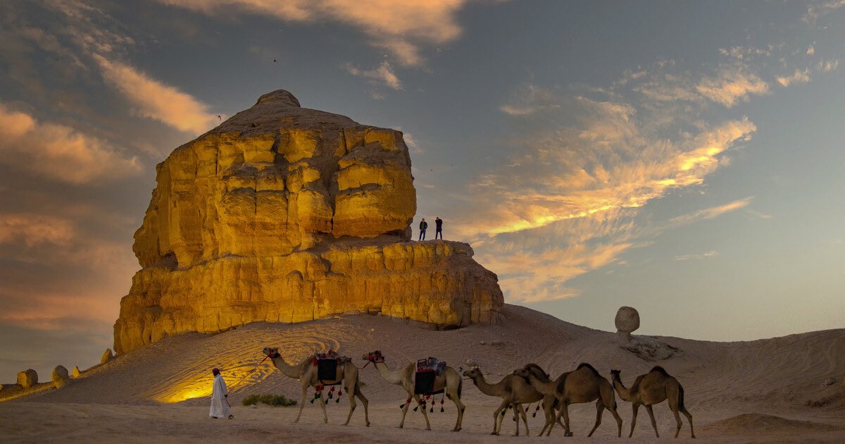 وجهات سعودية... أصالة وحداثة 😍👏
استمتع بتجارب سياحية فريدة تمزج بين سحر الماضي وروعة الحاضر، وبين الطبيعة الساحرة والفخامة العصرية و #صيفك_سعودي دائما 💚