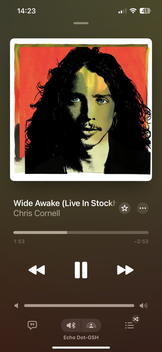 Alyssa__Nxoel's tweet photo. I’ve often thought about what Chris Cornell would say about all the things going on in the world these days. His thoughts in this song (based the Hurricane Katrina reaction ) still resonate strong. #ChrisCornellForever 🖤 https://t.co/RnAhzc7a22