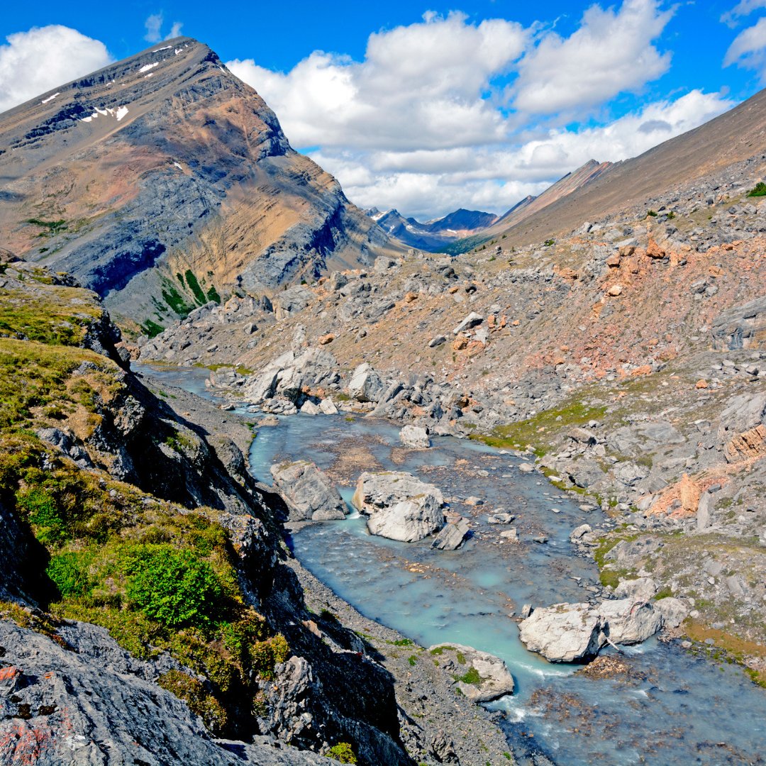 #NigelPass is our recommended hike for July! This hike, which borders #Banff &amp; #Jasper Parks, takes you beneath peaks topped with glaciers &amp; offers expansive views of the Brazeau River Valley.

Stay at The Crossing Resort on the #IcefieldsParkway &amp; #save:
thecrossingresort.com/features/categ…