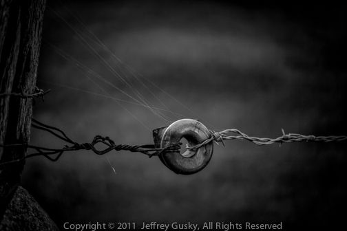 hiddenwwi's tweet image. WWI Rum bottle fragment used for practical purpose by a farmer near Ypres, Belgium to create a fence
#ww1 #blackandwhitephotography