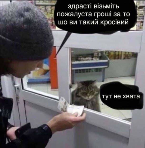 z2i's tweet photo. @nennsiy кіко не хвата?) https://t.co/ogfFhTuGy4