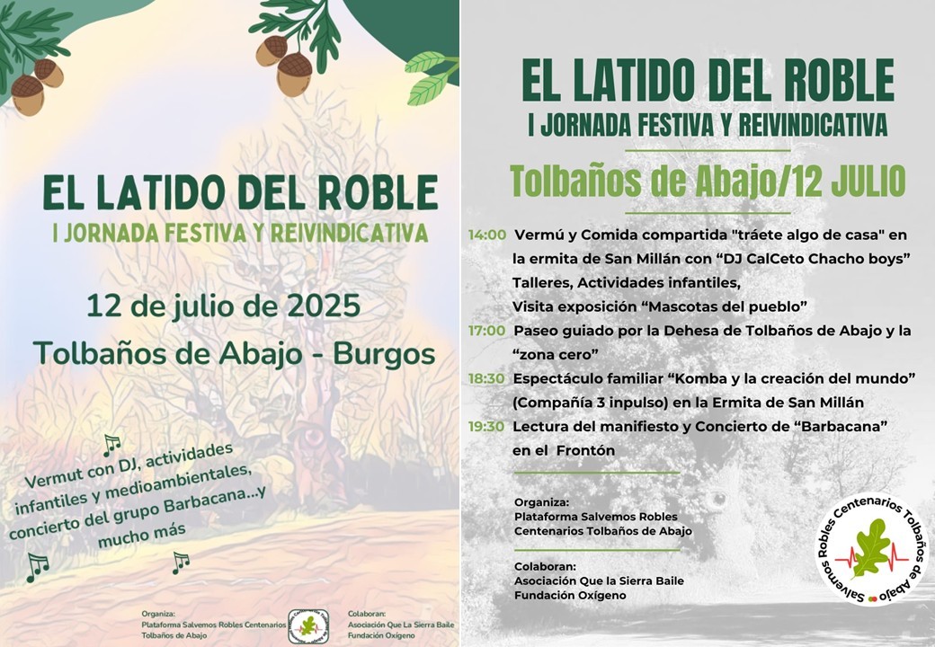 RevistaQuercus's tweet photo. La plataforma "Salvemos los robles de Tolbaños de Abajo” celebrará “El latido del roble”, una jornada festiva y reivindicativa para denunciar la tala de robles centenarios para construir una carretera. El sábado 12 de julio, en Tolbaños de Abajo (Burgos). ¡No te lo pierdas! https://t.co/bopRLbArku