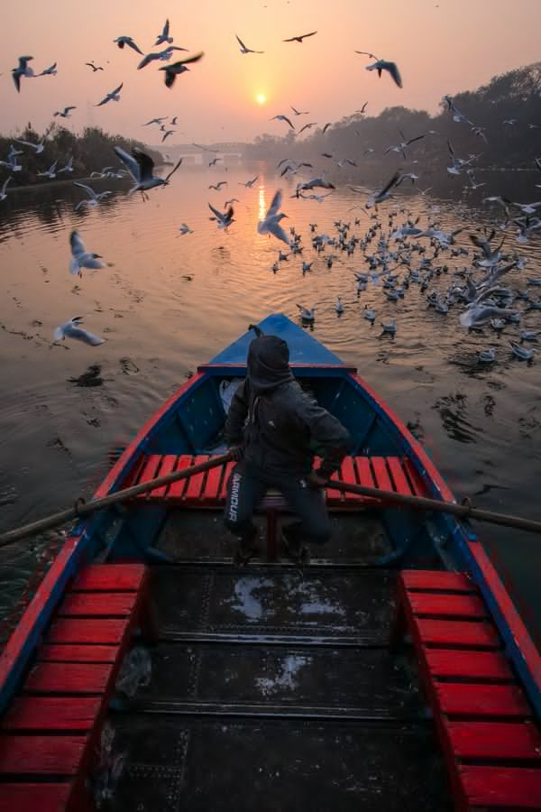 SteinSOL's tweet image. Gn dear Artists & Collectors.
"Reach for the light"
Allow yourself to be inspired by 'Reach for the Light,' framed in the enchanting Yamuna Ghat.
0.35 $SOL
๐๐