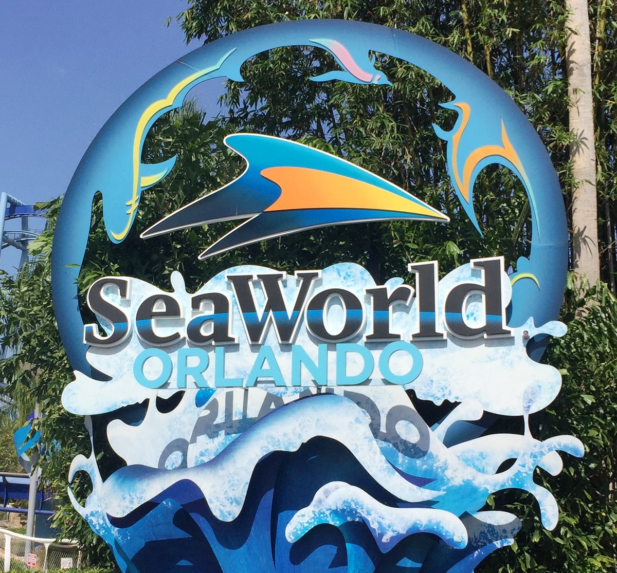LifetimeSummer's tweet photo. Summer deals for Tickets, Annual Passes and Fun Cards at SeaWorld Orlando were recently released with savings of up to 60%.  

• Single day tickets start at $56.99 per person 
• Bronze Annual Pass - $156.00 or $13.00 per month 
• Silver Annual Pass - $204.00 or $18.25 per month 
• Gold Annual Pass - $219.00 or $18.25 per month 
• Platinum Annual Pass - $372.00 or $31.00 per month 
• 2025 Fun Card - $99.99  

We currently have the Silver annual pass for our family but for $15.00 more, we're thinking about upgrading to Gold to get an extra 2 free guests tickets (5 total).
