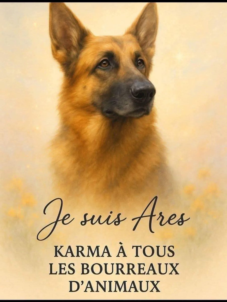 Adea Claude (@adeaclaude) on Twitter photo 
