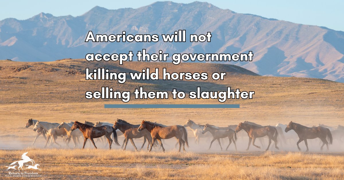 🛑 The lives of tens of thousands of #wildhorses and burros are at risk. To learn more and take action, see below.