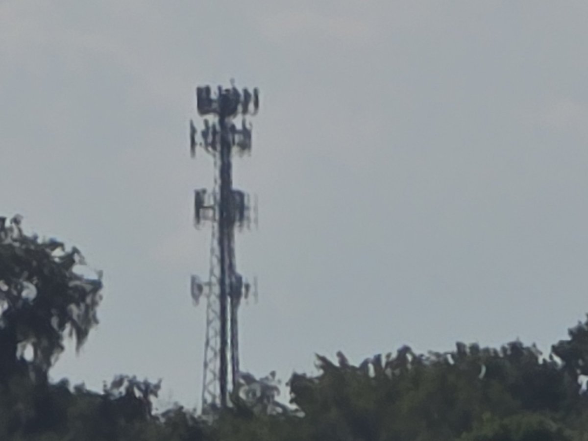 MobileMasterTech (@terrell352) on Twitter photo And the tower that was covering WEC just got n41 as well. Multi of course. They just being extra now <a href="/NicholasT1979/">checker79</a> <a href="/CleverIv/">Maybe: Tee</a> <a href="/jon_bogger/">Tools Tech Outdoors</a> <a href="/SneedTech/">Sneed Mobile Tech</a> ,<a href="/Techlife32/">Tech life Channel</a> And the tower that was covering WEC just got n41 as well. Multi of course. They just being extra now <a href="/NicholasT1979/">checker79</a> <a href="/CleverIv/">Maybe: Tee</a> <a href="/jon_bogger/">Tools Tech Outdoors</a> <a href="/SneedTech/">Sneed Mobile Tech</a> ,<a href="/Techlife32/">Tech life Channel</a>