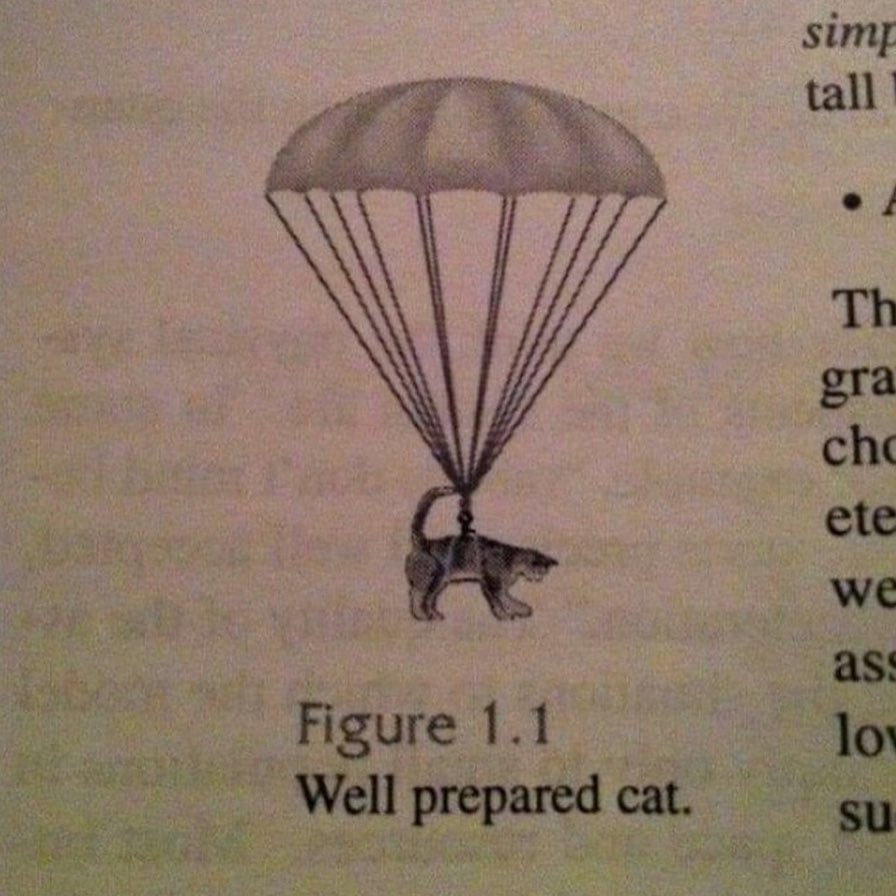 well prepared cat indeed 😭