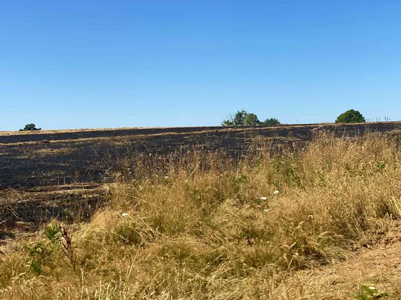 Les pompiers de #HauteVienne mobilisés sur plusieurs incendies ce mercredi

lepopulaire.fr/saint-hilaire-…