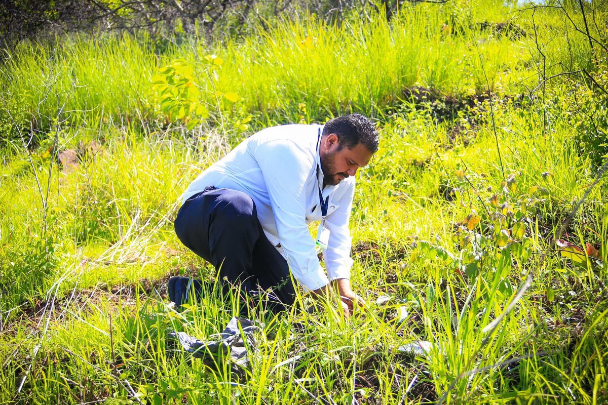 En coordinación con el Gobierno Municipal de San Vicente Norte, Gobernación Departamental de San Vicente y el Ministerio de <a href="/MedioAmbienteSV/">Ministerio de Medio Ambiente</a>, como <a href="/AsambleaSV/">Asamblea Legislativa 🇸🇻</a> llevamos a cabo una jornada de reforestación en el Cerro Las Delicias, distrito de San Esteban Catarina, San Vicente