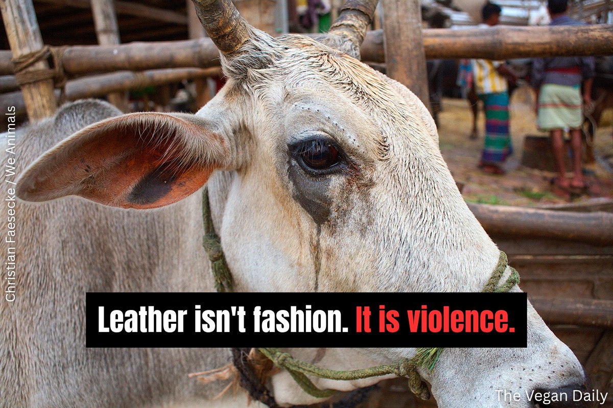 Compassion is fashion. Wear #vegan.