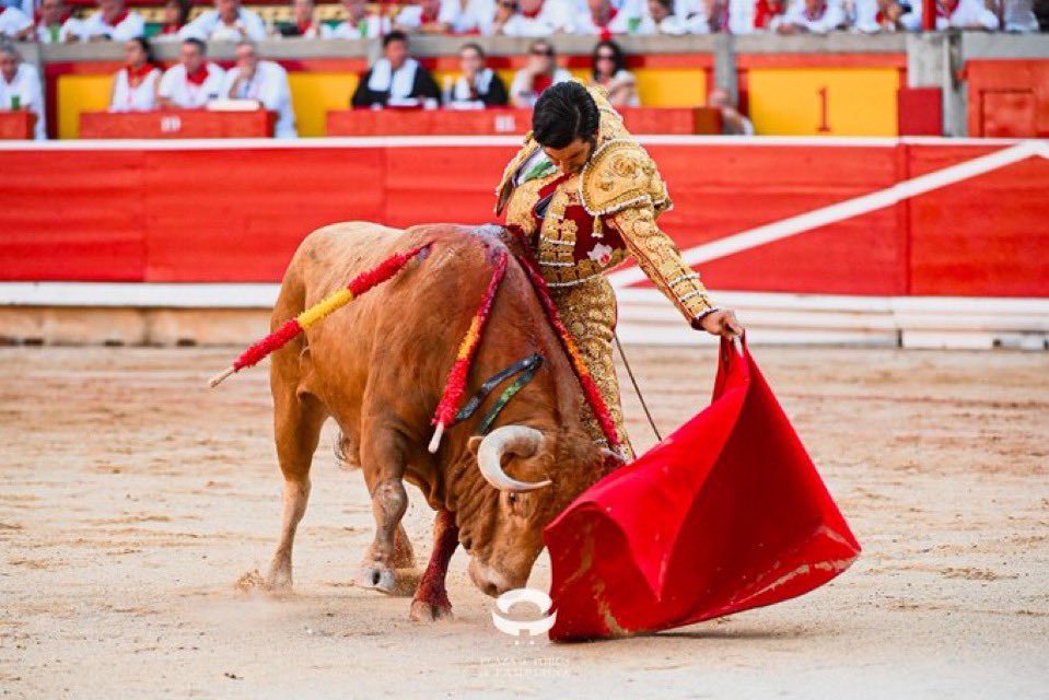 TorileroEl's tweet image. No se los puede pasar mas cerca, Morante es histórico.