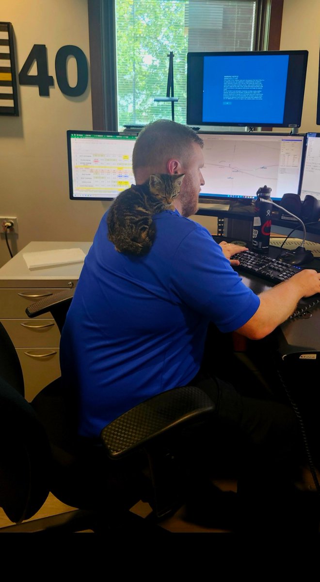 The Jackson Post recently provided a safe home for an abandoned kitten hiding in the shrubs. Dispatcher Garrick Payne “shouldered” the responsibility of getting this kitten out of the 96 degree heat and took it home to his children.