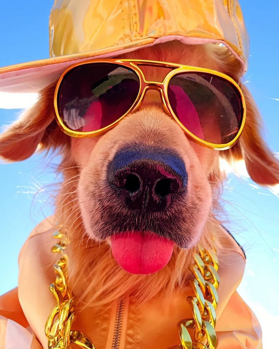 SammyETH_CTO's tweet photo. Welcome everyone to the official $SAMMY community

@ManyuShiba is a very good friend of mine and follows me on Instragram 

https://t.co/zXgGMaSEym

Lets make some noise! https://t.co/B01kJcdmt2