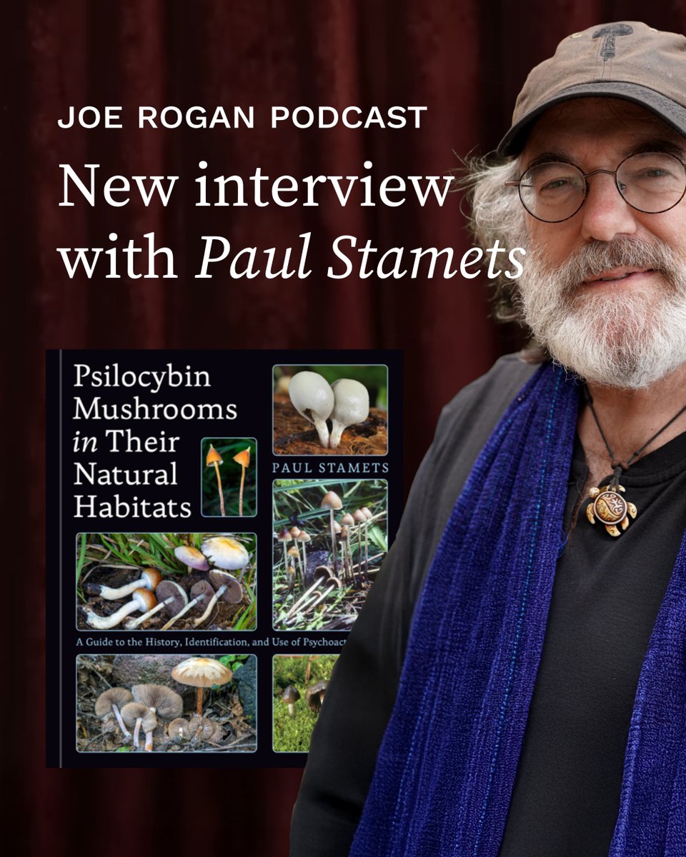 McKenna Academy tweet media