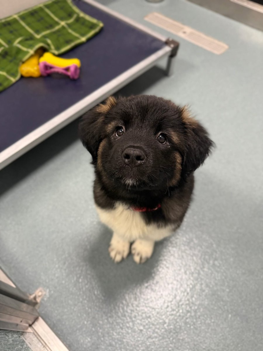 His name is the last thing you ate