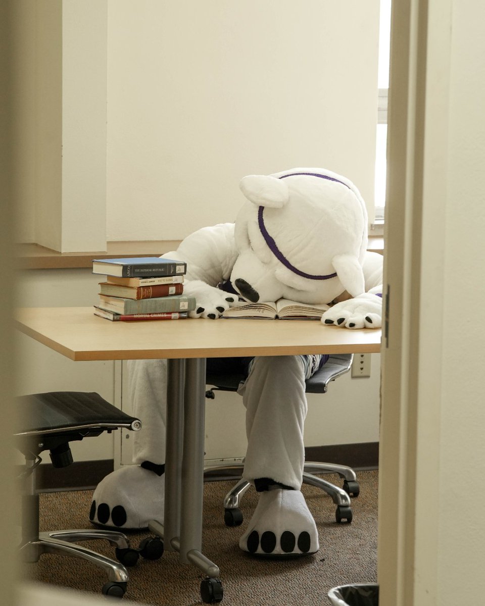 Studying is no fun when you’re the only one in the library!
Tundra's lonely... and dangerously close to writing a dissertation. 🎓🐻‍❄️