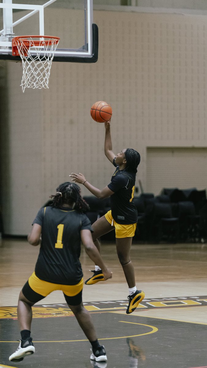 UAPBLionsWBB's tweet image. go with your move βοΈ