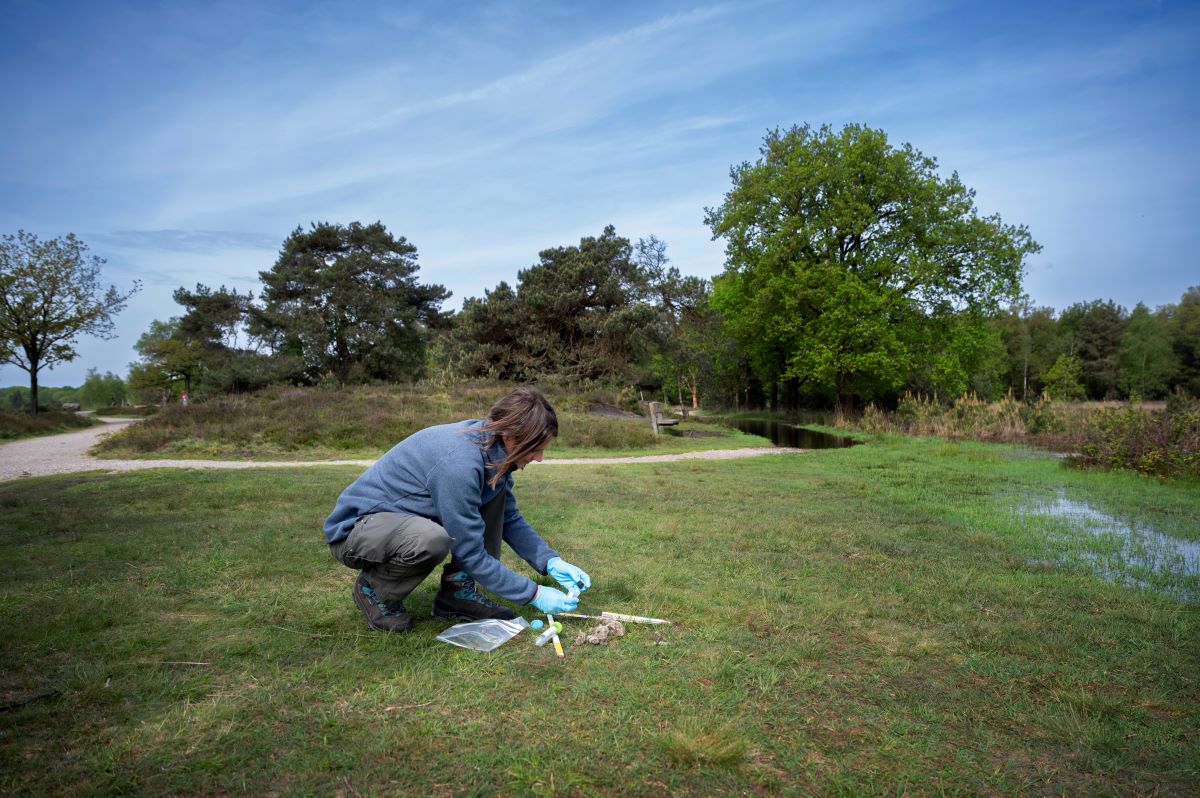 De provincie Utrecht roept inwoners op om waarnemingen van wolven of wolvensporen te melden bij het landelijke Wolvenmeldpunt. De meldingen helpen om in kaart te brengen waar wolven rondlopen en waar ze zich vestigen.  
Lees de provinciepagina van juli bit.ly/3xognug