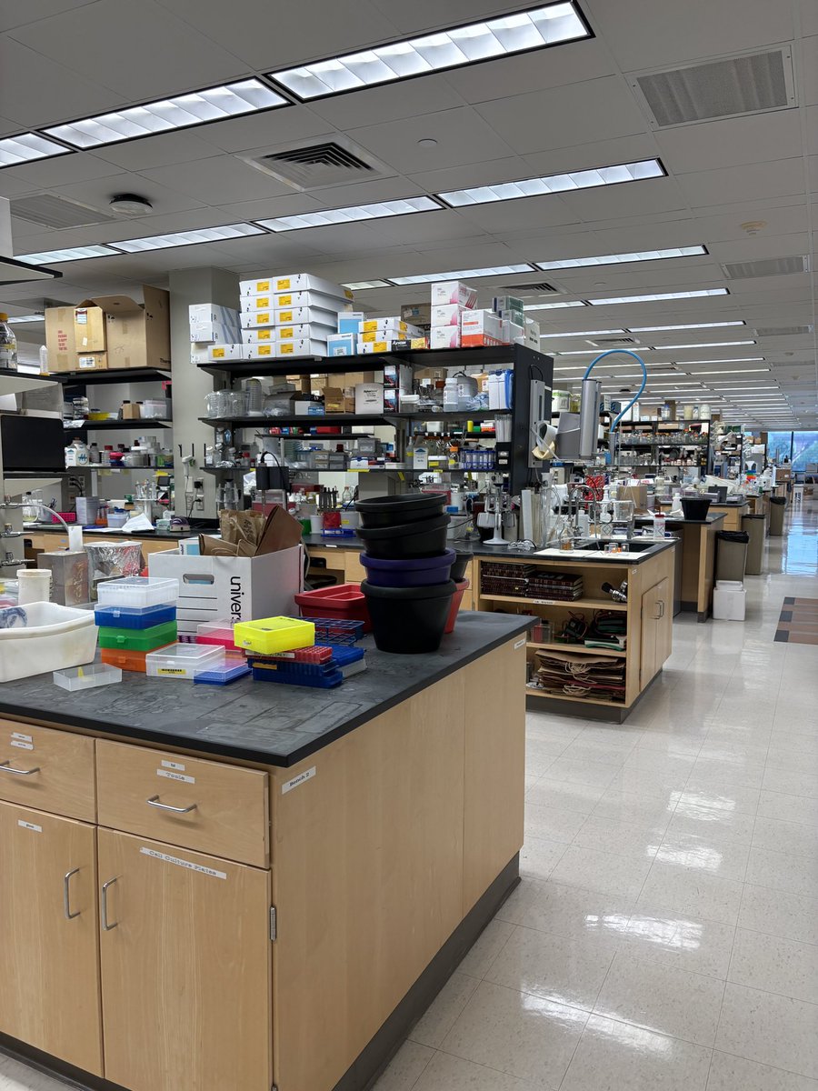 SpelmanCollege's tweet image. This summer, Anaya Henry, C’2026, is diving deep into cancer research at the University of Illinois Urbana-Champaign under Dr. Sara Pedron-Haba. She’s also taking part in clinical development at Carle Illinois College of Medicine—gaining the skills to turn her passion into…
