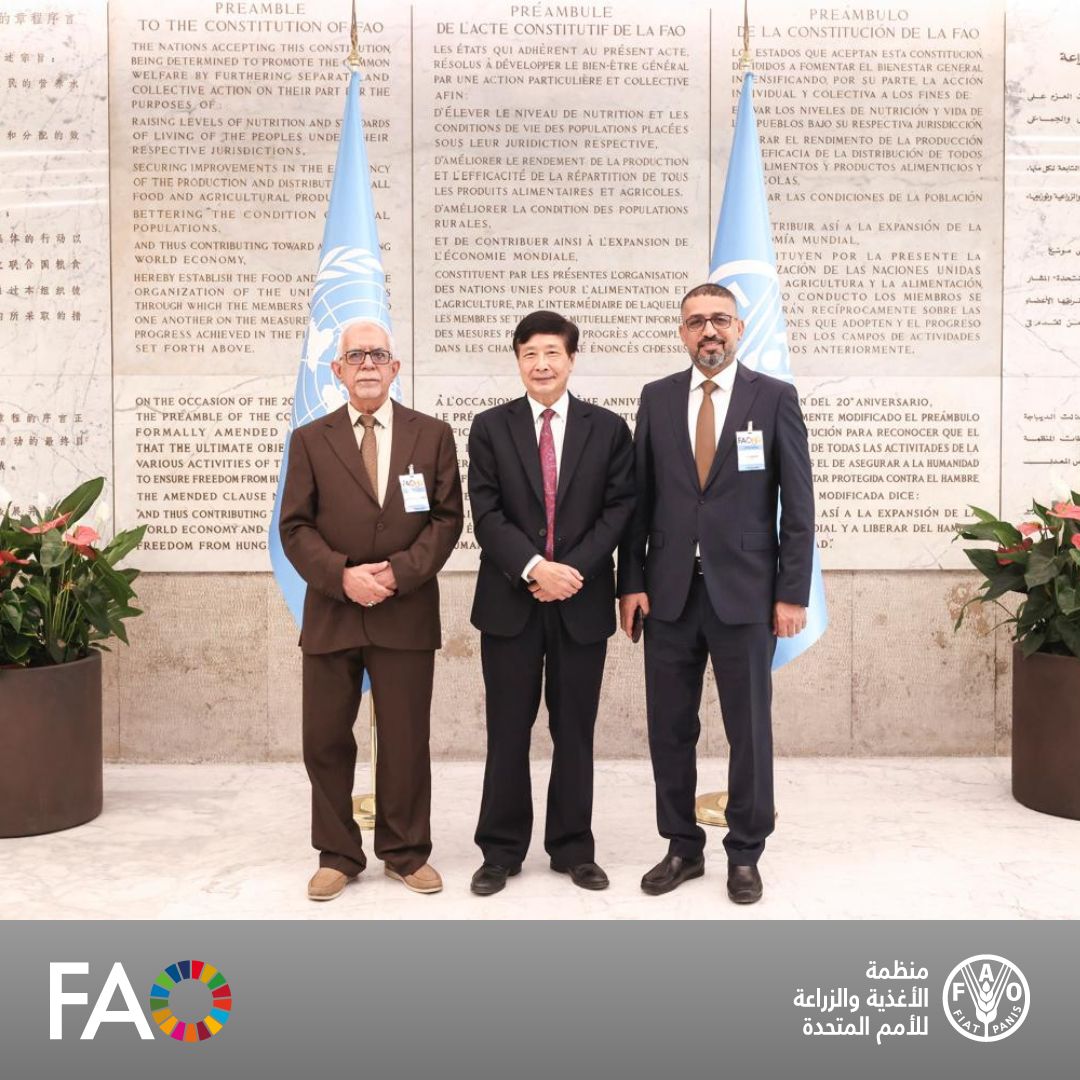 FAOIraq's tweet image. 🌴شارك #العراق 🇮🇶 من خلال مدير عام البستنة في وزارة الزراعة العراقية، وخبير النخيل في مكتب @FAO في العراق، في ورشة عمل لـ3⃣ أيام في المقر الرئيسي للمنظمة بـ #روما، حول المبادرة العالمية #بلد_واحد_منتج_واحد_ذو_أولوية من خلال برنامج التعاون بين بلدان الجنوب وجمهورية الصين والمنظمة.