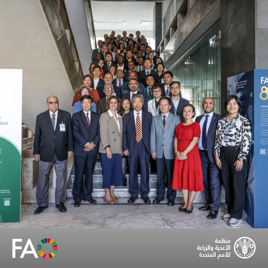 FAOIraq's tweet image. 🌴شارك #العراق 🇮🇶 من خلال مدير عام البستنة في وزارة الزراعة العراقية، وخبير النخيل في مكتب @FAO في العراق، في ورشة عمل لـ3⃣ أيام في المقر الرئيسي للمنظمة بـ #روما، حول المبادرة العالمية #بلد_واحد_منتج_واحد_ذو_أولوية من خلال برنامج التعاون بين بلدان الجنوب وجمهورية الصين والمنظمة.