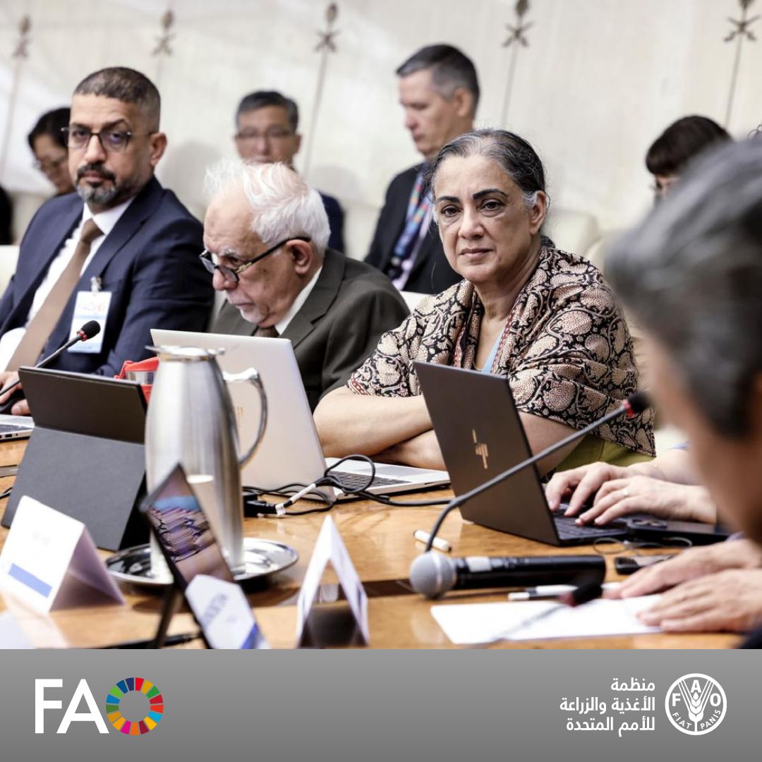 FAOIraq's tweet image. 🌴شارك #العراق 🇮🇶 من خلال مدير عام البستنة في وزارة الزراعة العراقية، وخبير النخيل في مكتب @FAO في العراق، في ورشة عمل لـ3⃣ أيام في المقر الرئيسي للمنظمة بـ #روما، حول المبادرة العالمية #بلد_واحد_منتج_واحد_ذو_أولوية من خلال برنامج التعاون بين بلدان الجنوب وجمهورية الصين والمنظمة.