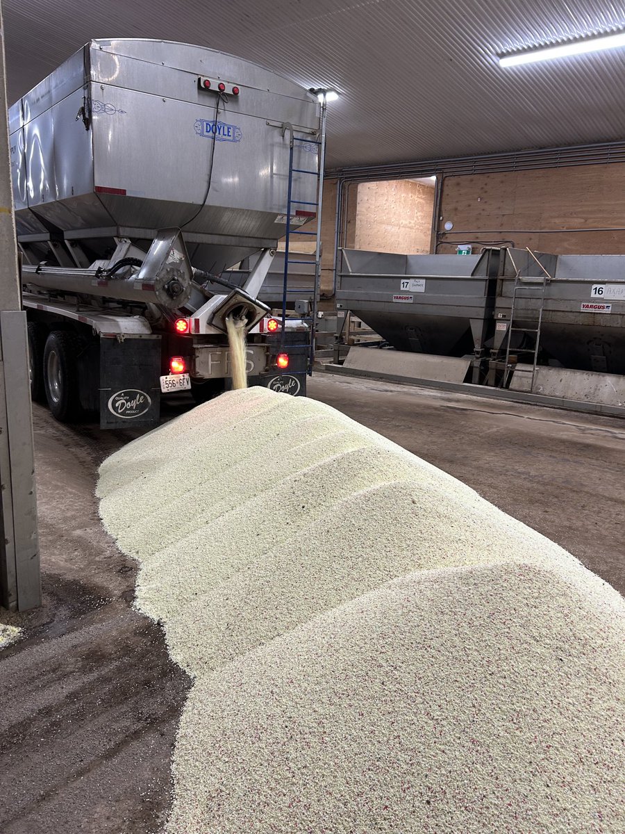 Harm Spangenberg tweet media