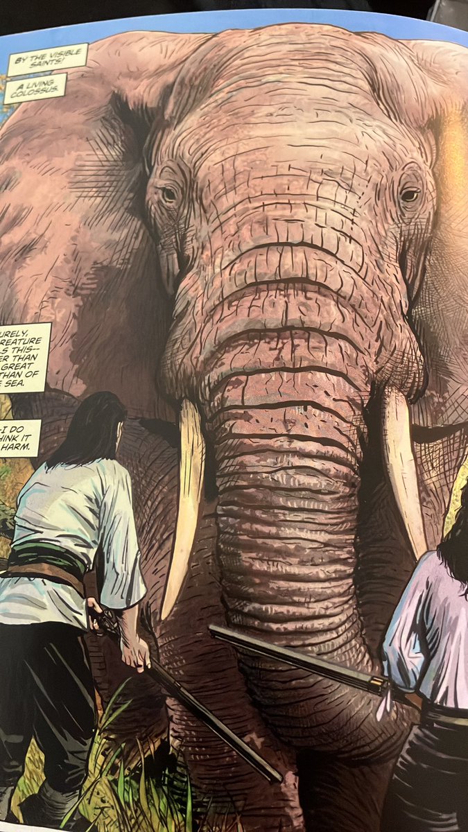 Ashley’s Argonauts (@ashwriting97) on Twitter photo <a href="/PatrickZircher/">Patch Zircher</a> reading the most recent issue, took a while to stop staring at the elephant <a href="/PatrickZircher/">Patch Zircher</a> reading the most recent issue, took a while to stop staring at the elephant