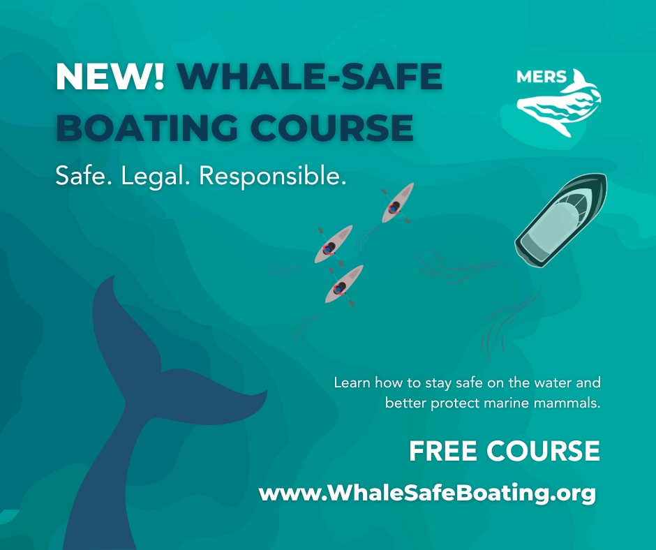 The Whale-Safe Boating course was created to address a critical need: protecting both marine mammals and boaters—whether you're on a motorized or non-motorized vessel.

WhaleSafeBoating.org.