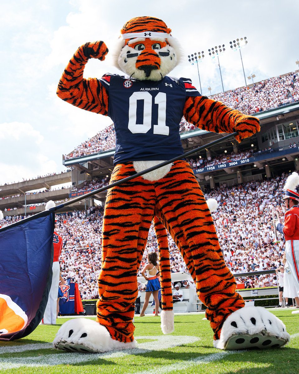 AuburnTigers's tweet image. 🎟️ Single Game Football Tickets are ON SALE NOW! 🏈
Be there for the biggest moments this fall in Jordan-Hare Stadium. This is your chance to be part of the action. 🦅
🔗: auburntige.rs/3TqxKb4
#WarEagle
