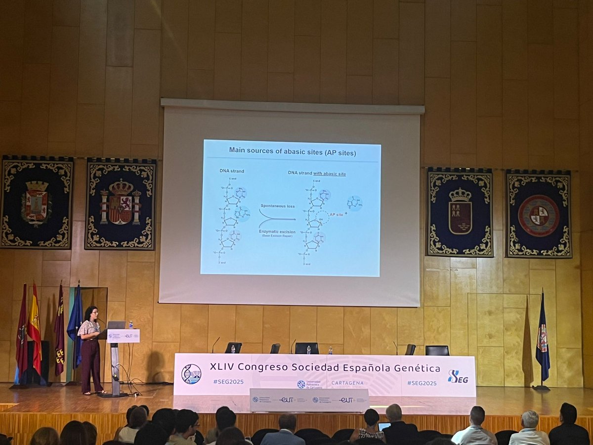 @SEGenetica tweet media