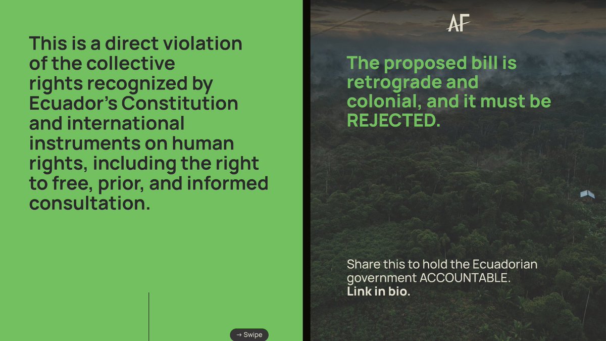 AFrontlines (@afrontlines) on Twitter photo 🚨 On 10 July, Ecuador’s National Assembly will vote on a bill that will change the future of one of the world’s most biodiverse countries. The world applauds Ecuador’s leadership in conservation, but <a href="/DanielNoboaOk/">Daniel Noboa Azin</a> 's bill would undermine decades of progress.
📢 SHARE WIDELY 🚨 On 10 July, Ecuador’s National Assembly will vote on a bill that will change the future of one of the world’s most biodiverse countries. The world applauds Ecuador’s leadership in conservation, but <a href="/DanielNoboaOk/">Daniel Noboa Azin</a> 's bill would undermine decades of progress.
📢 SHARE WIDELY