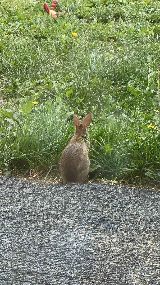 Brandi917 (@brandellalouise) on Twitter photo 