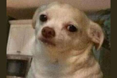 susana85's tweet image. -Hey, Grok. Dime mis diez mutuals y qué interacc...
- Diez dice... ¿De dónde?